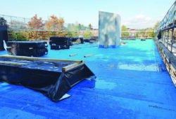 Steico multi CAP Vapor Barrier Membrane for Outdoor - Image 2
